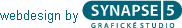 Synapse5