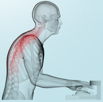 Anatomický detail